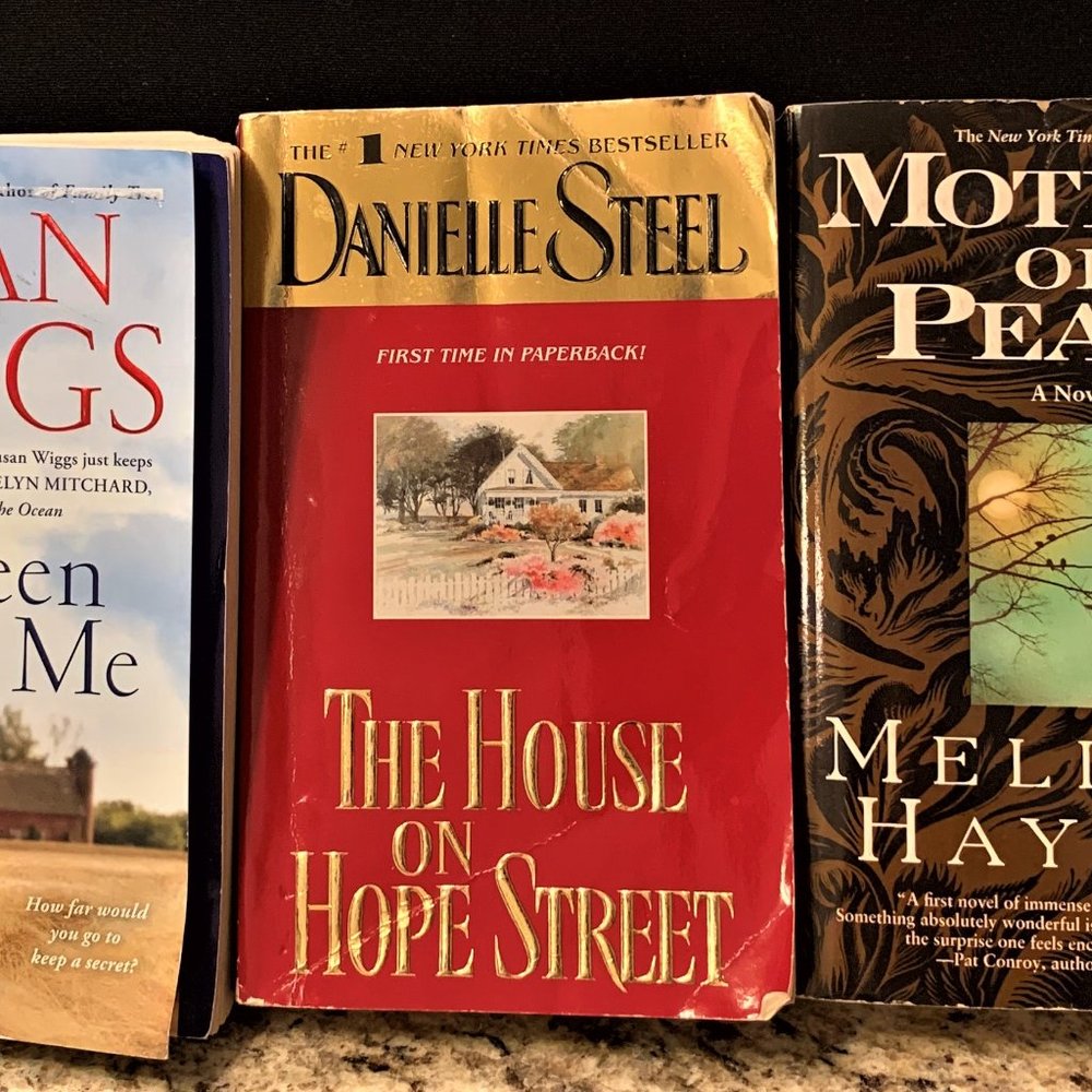 Lot of 3 Romances - Susan Wiggs, Danielle Steel, Melinda Haynes
